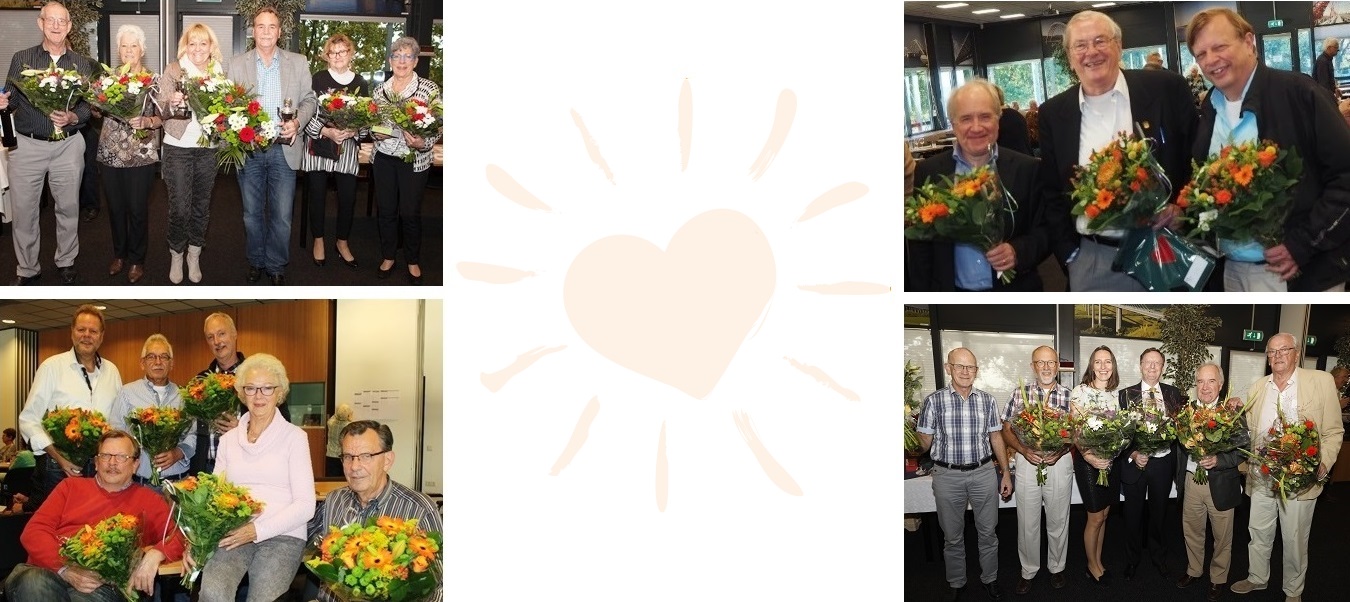 honneurdrive collage