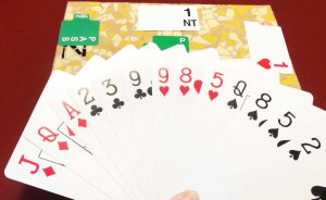 Het spel van Ans, BridgeTV 30 januari 2023