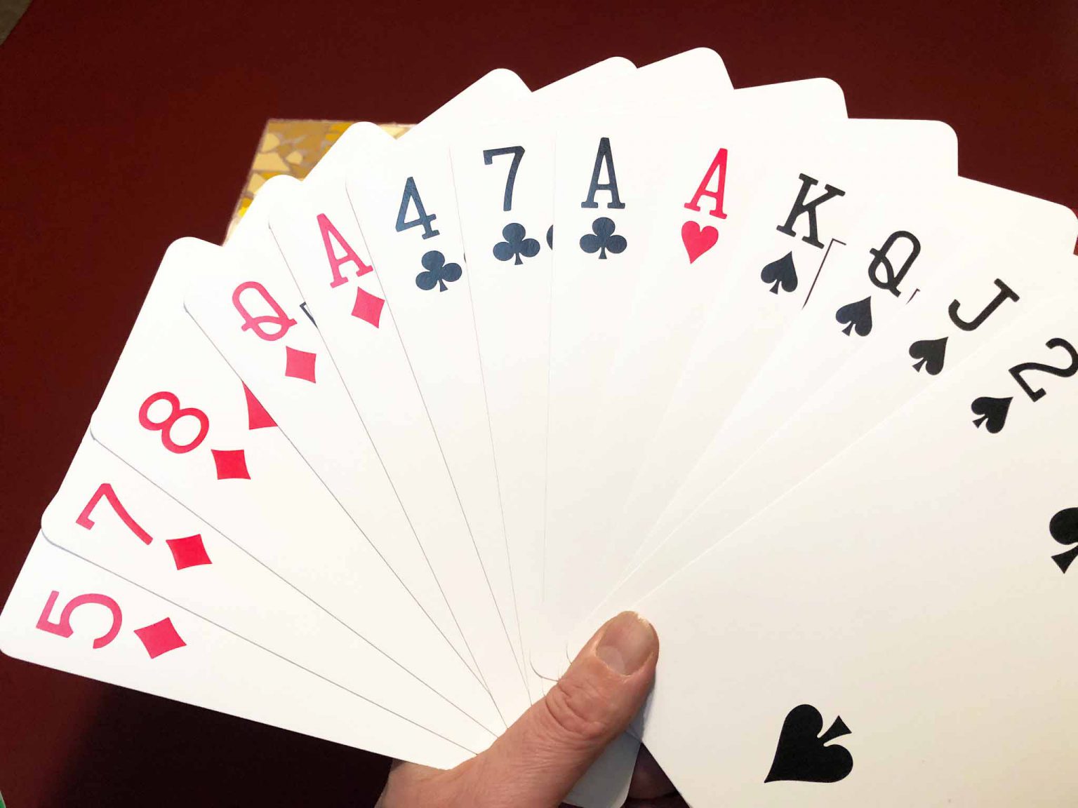 BridgeTV opwarmer bij uitzending 16 januari 2023