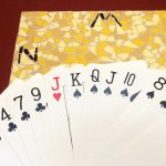 Je kunt nu de uitzending bekijken met het spel van Annekee