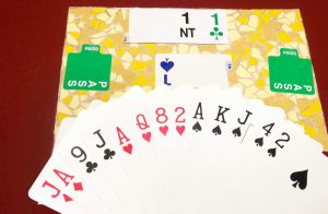 BridgeTV: de basis uitzending 1 mei 2023 Pierre, BridgeSchool Arnhem